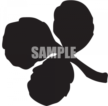Plant Clipart
