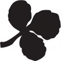 Plant Clipart