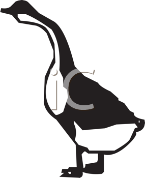 Bird Clipart