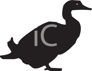 Bird Clipart