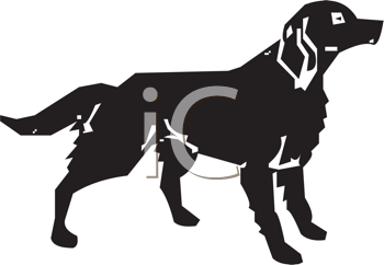 Pet Clipart