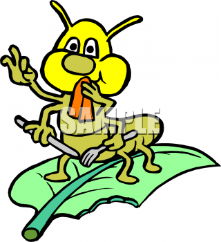 Insect Clipart