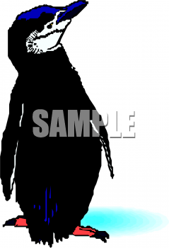 Aquatic Animals Clipart