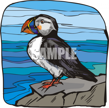 Bird Clipart