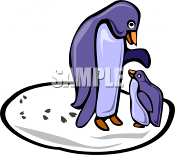 Aquatic Animals Clipart