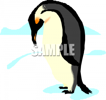 Bird Clipart