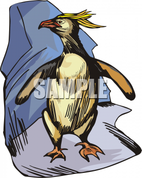 Aquatic Animals Clipart