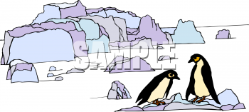 Aquatic Animals Clipart