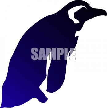 Aquatic Animals Clipart