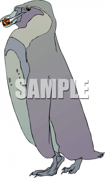 Invertebrates Clipart