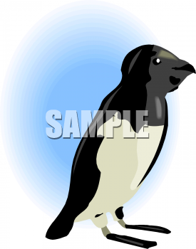 Aquatic Animals Clipart