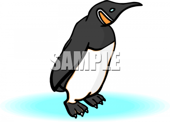 Bird Clipart