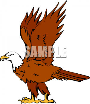 Bird Clipart