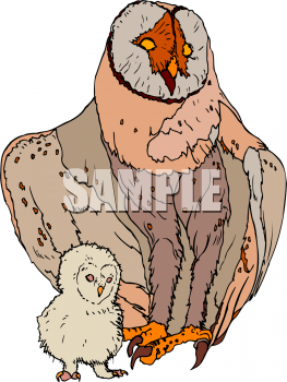 Bird Clipart