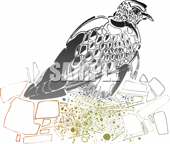 Bird Clipart