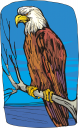 Bird Clipart