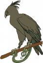 Bird Clipart