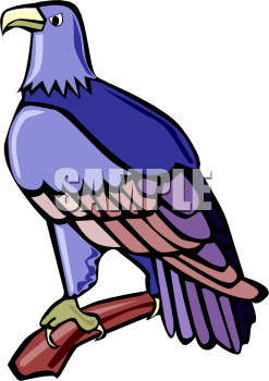 Bird Clipart