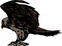Bird Clipart