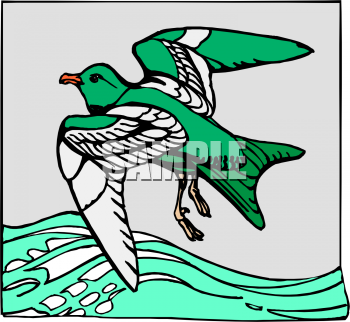 Bird Clipart