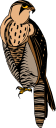 Bird Clipart