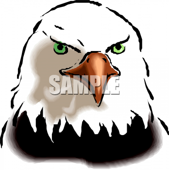 Bird Clipart