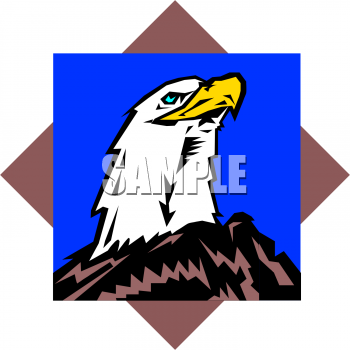 Bird Clipart