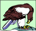 Bird Clipart
