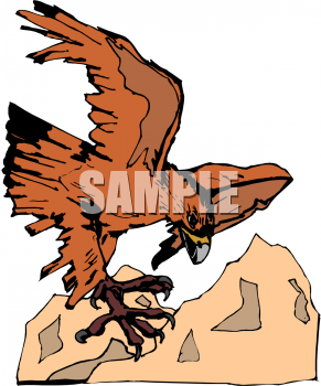Bird Clipart