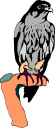 Bird Clipart