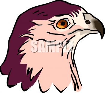 Bird Clipart