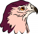 Bird Clipart