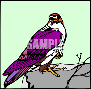 Bird Clipart