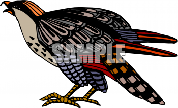 Bird Clipart
