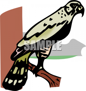 Bird Clipart
