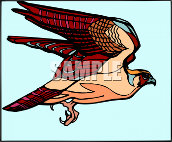 Bird Clipart