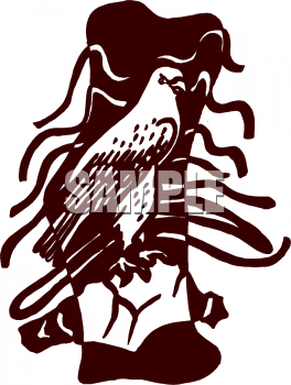 Bird Clipart