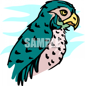 Bird Clipart