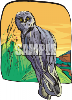 Bird Clipart