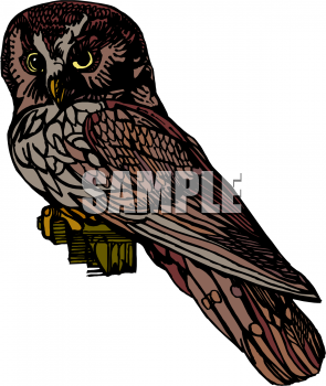 Bird Clipart