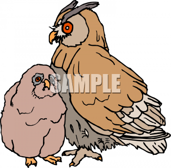 Bird Clipart