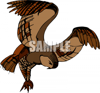Bird Clipart