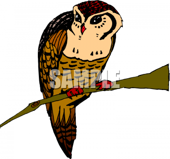 Bird Clipart