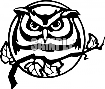 Bird Clipart