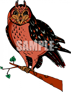 Bird Clipart