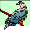 Bird Clipart