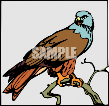 Bird Clipart