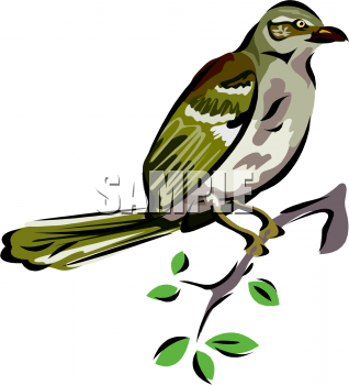 Bird Clipart