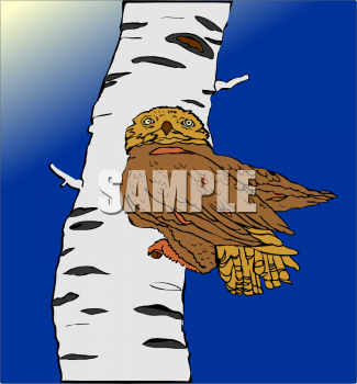 Bird Clipart