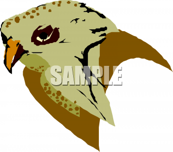 Bird Clipart